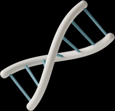 Illustration d'une structure d'ADN